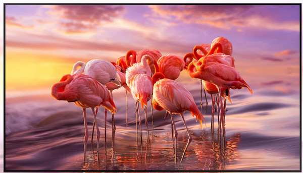 Samsung QE85QN900AU QLED HDR (2021 m.)